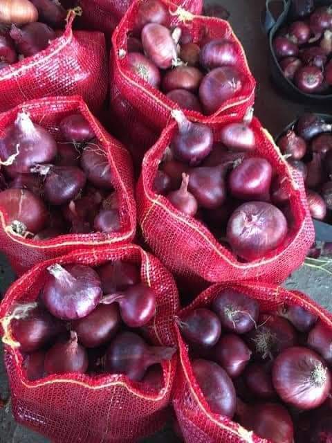 Red Onion (Giza red - Beheira red - Shadaweel red - Nubaria red )